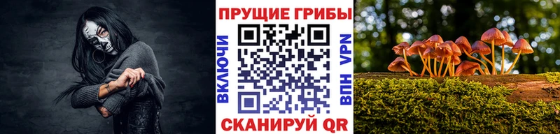 Псилоцибиновые грибы мухоморы  Купить где  Ипатово 